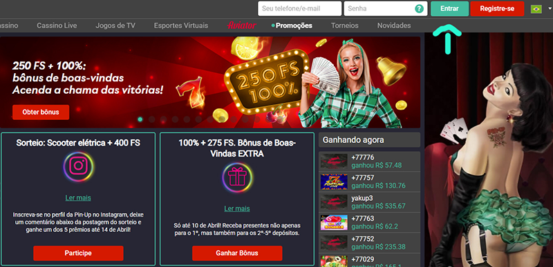 pin-up casino login
